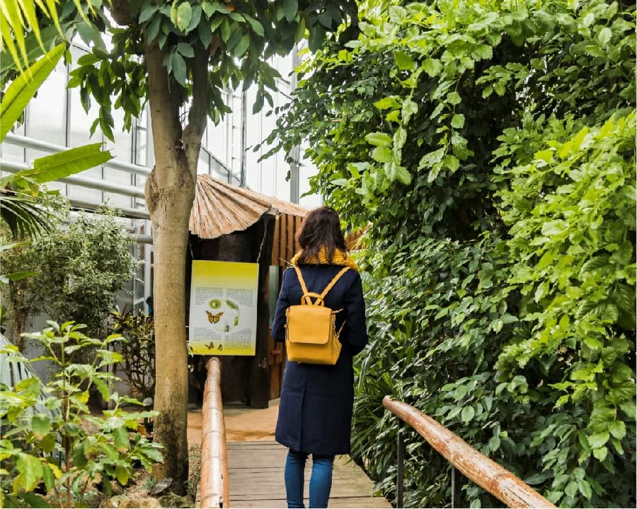 Sustainable Tourism and Responsible Practices