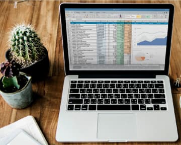 Basics and Tools in MS Excel and MS Project for Project Managers