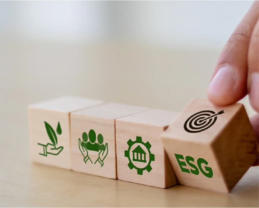 ESG (Environmental, Social, Governance) Reporting and Strategy