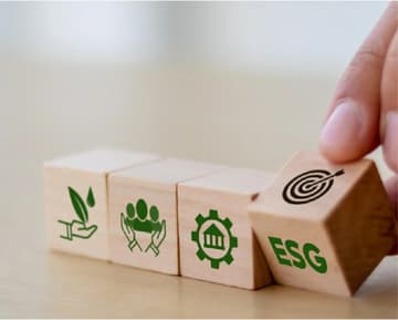 ESG (Environmental, Social, Governance) Reporting and Strategy