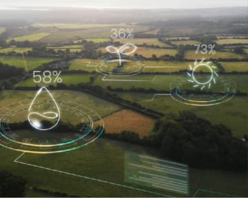 Carbon Footprinting and Net Zero Pathway Development